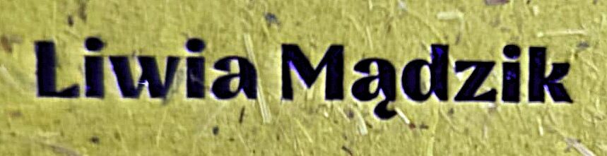 liwiamądzik logo2